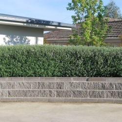 Balwyn gardening