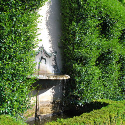 Donvale garden maintenance services