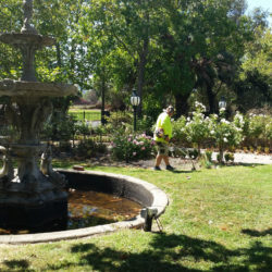 Garden maintenance services Mont Albert