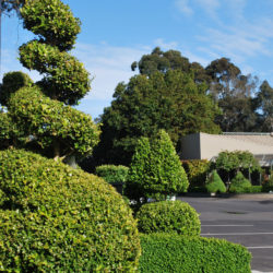 Gardener service Balwyn North
