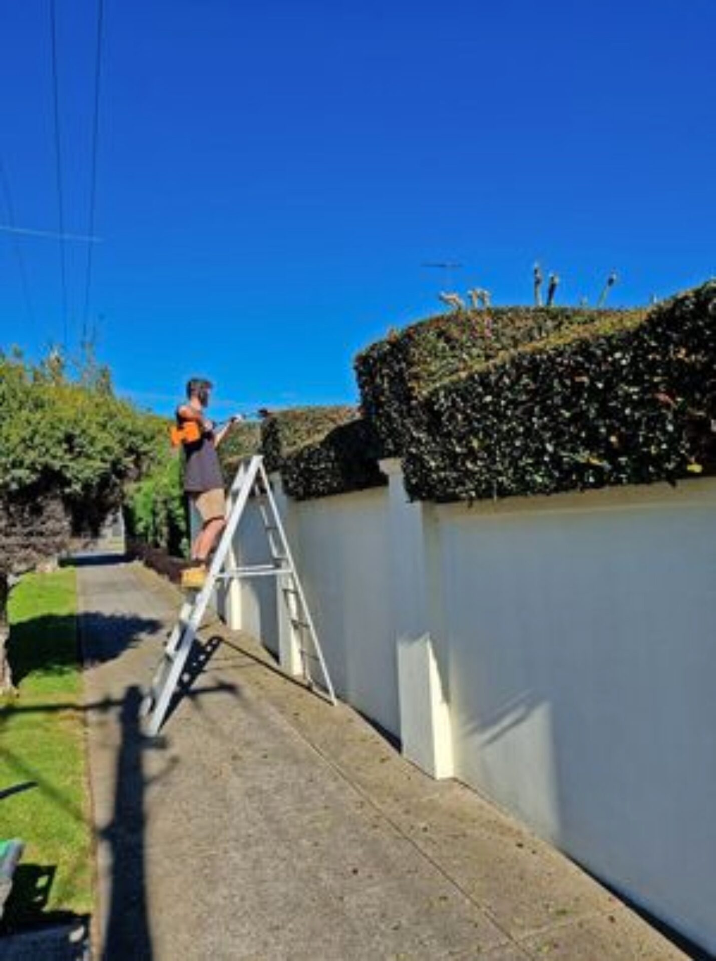 how-we-help-the-environment-greenbelt-garden-care